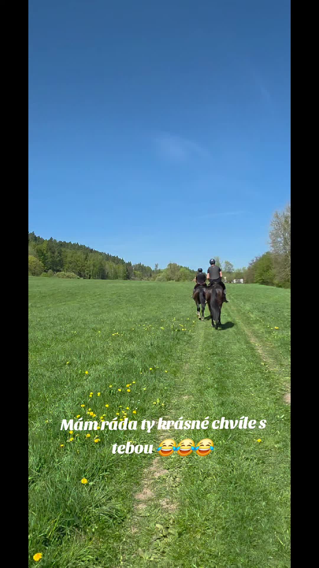@Koňomama🩷🐴