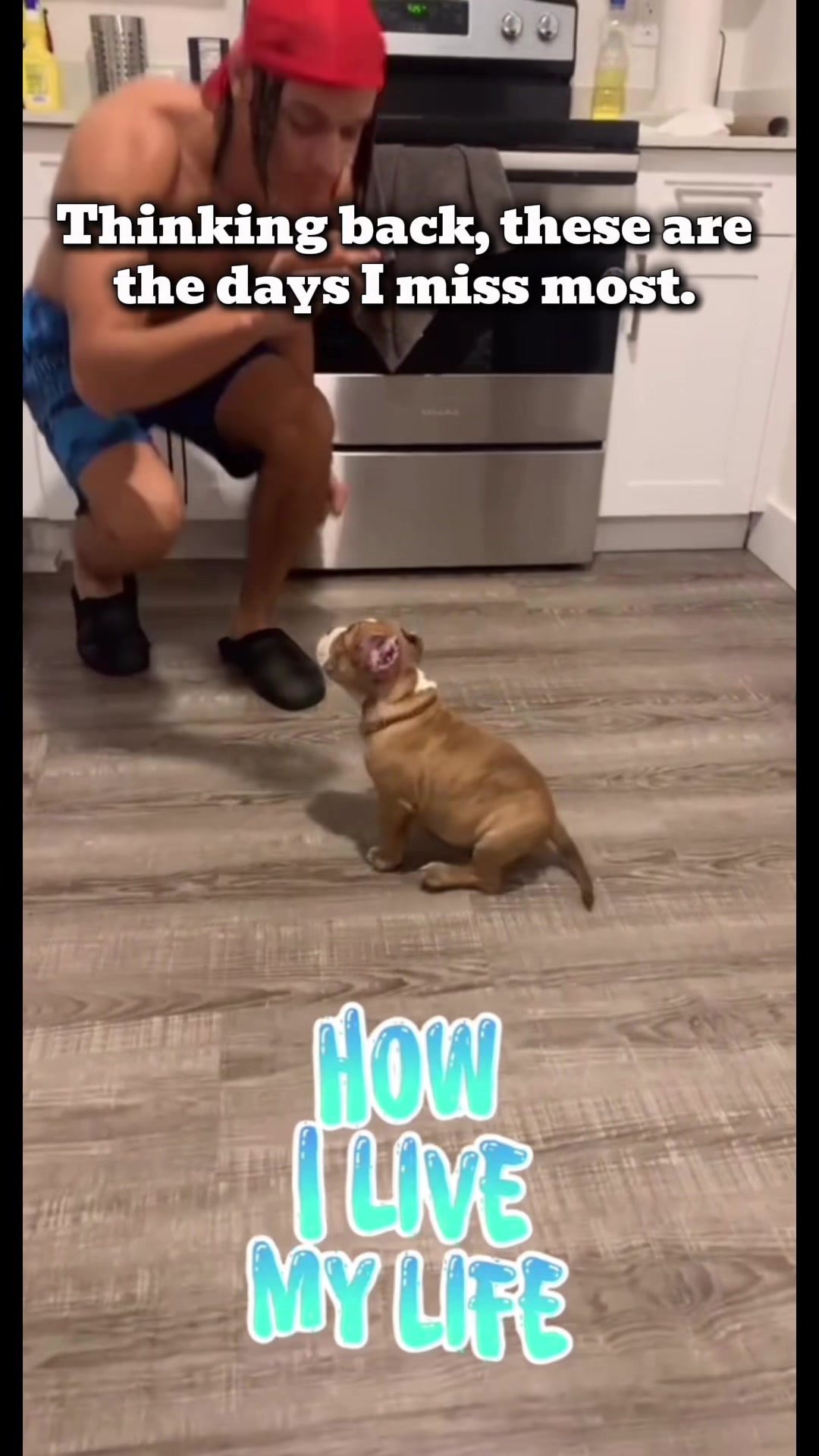 @HPK