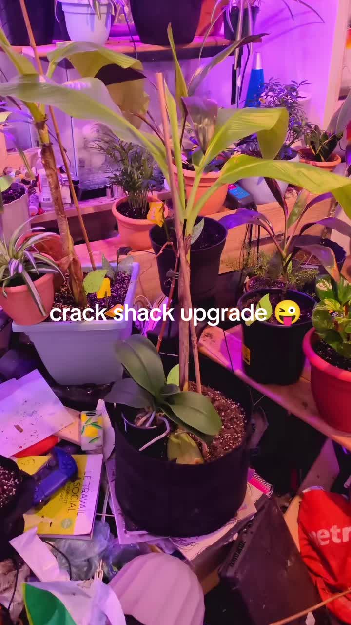 @Nate , aka DryCritical ๐๐จ๐ฆ