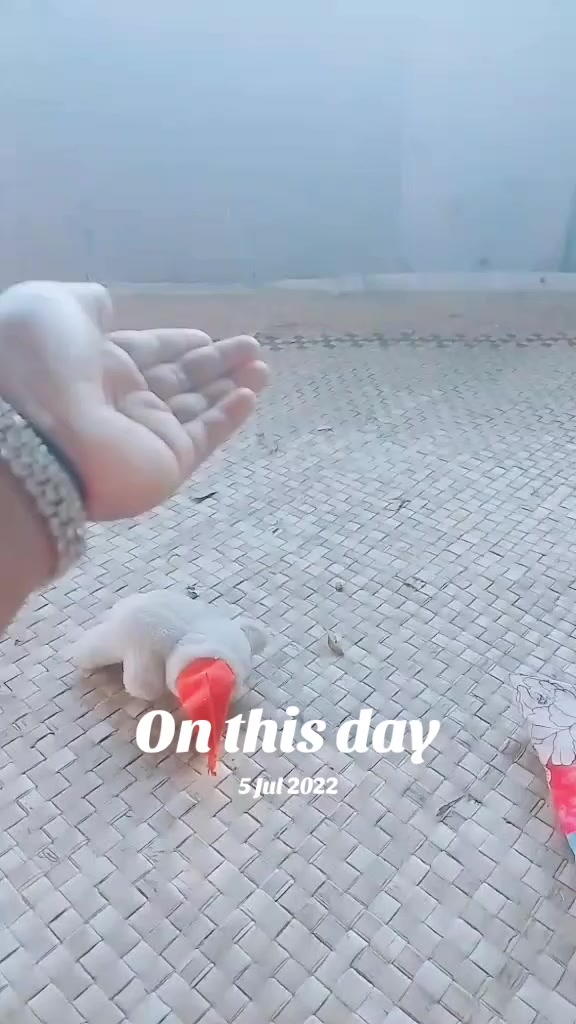 @❤️&zwj;🩹Ľ&otilde;ņ&euml;ļŷ,&Atilde;&ntilde;ğļ&eacute;🖤