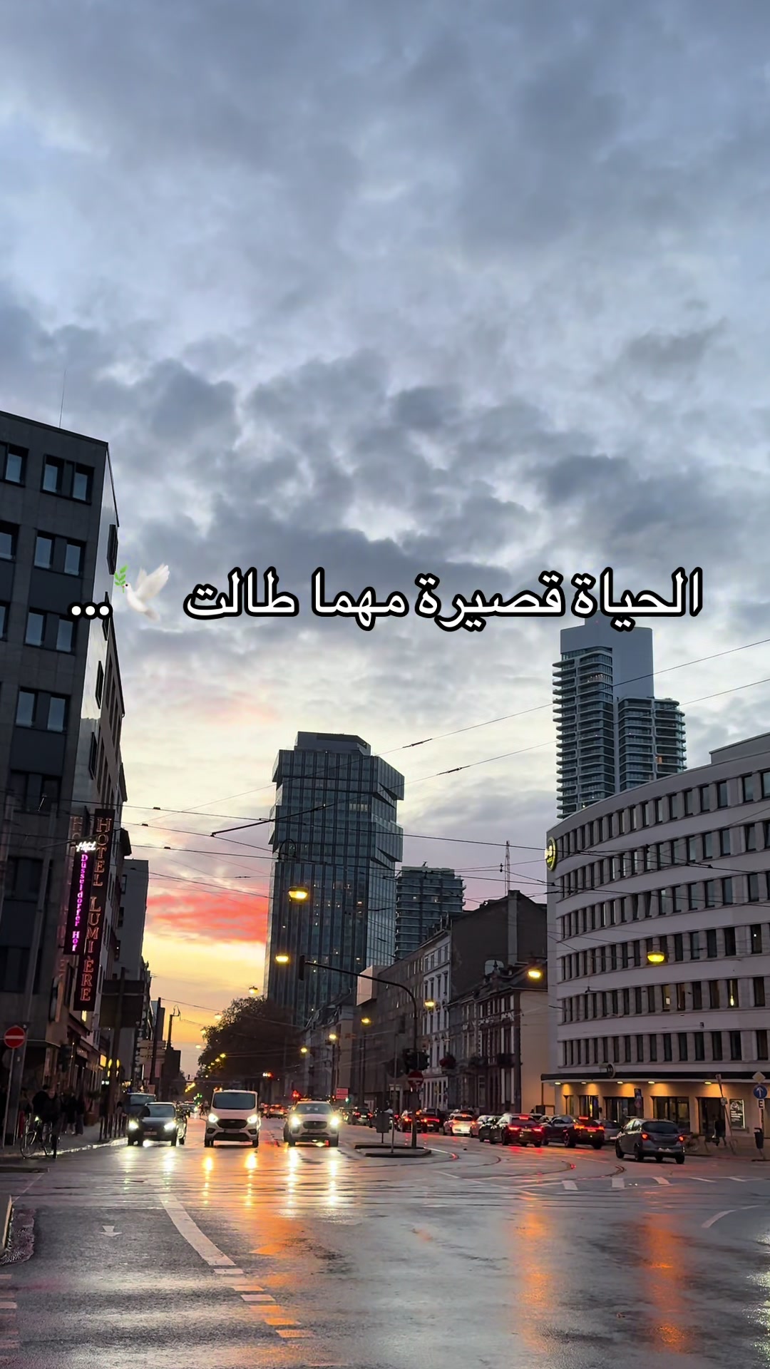 @ممرض جزائري في المانيا 🇩🇪