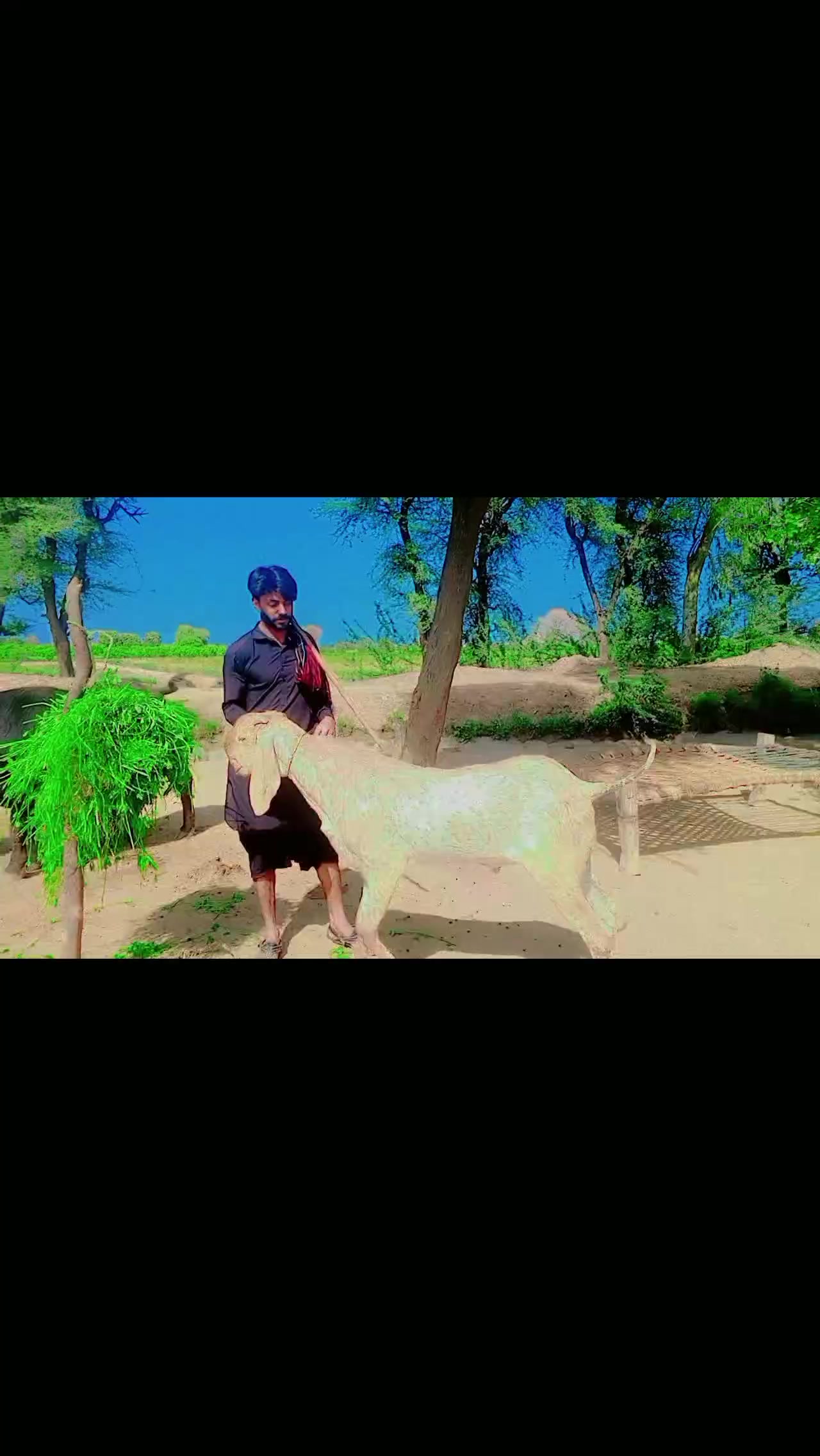 @Malik Rashid