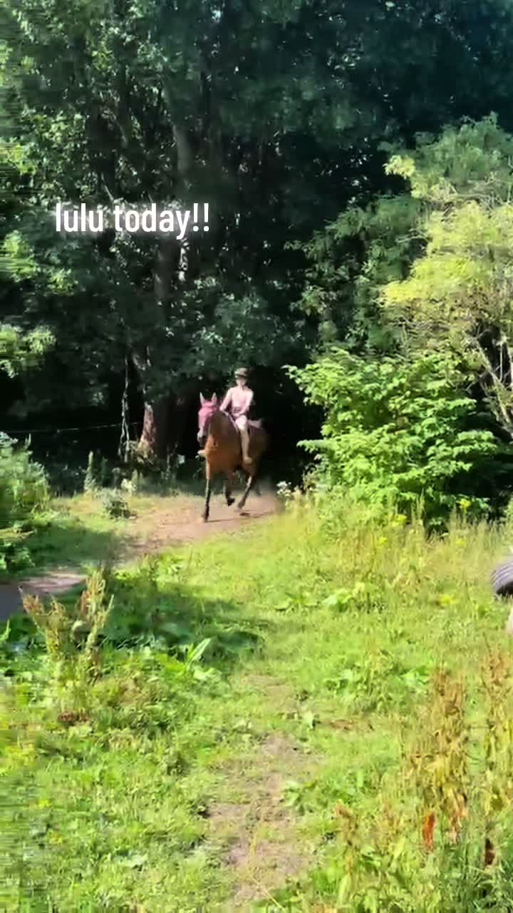 @lilys.riding🎀🐴