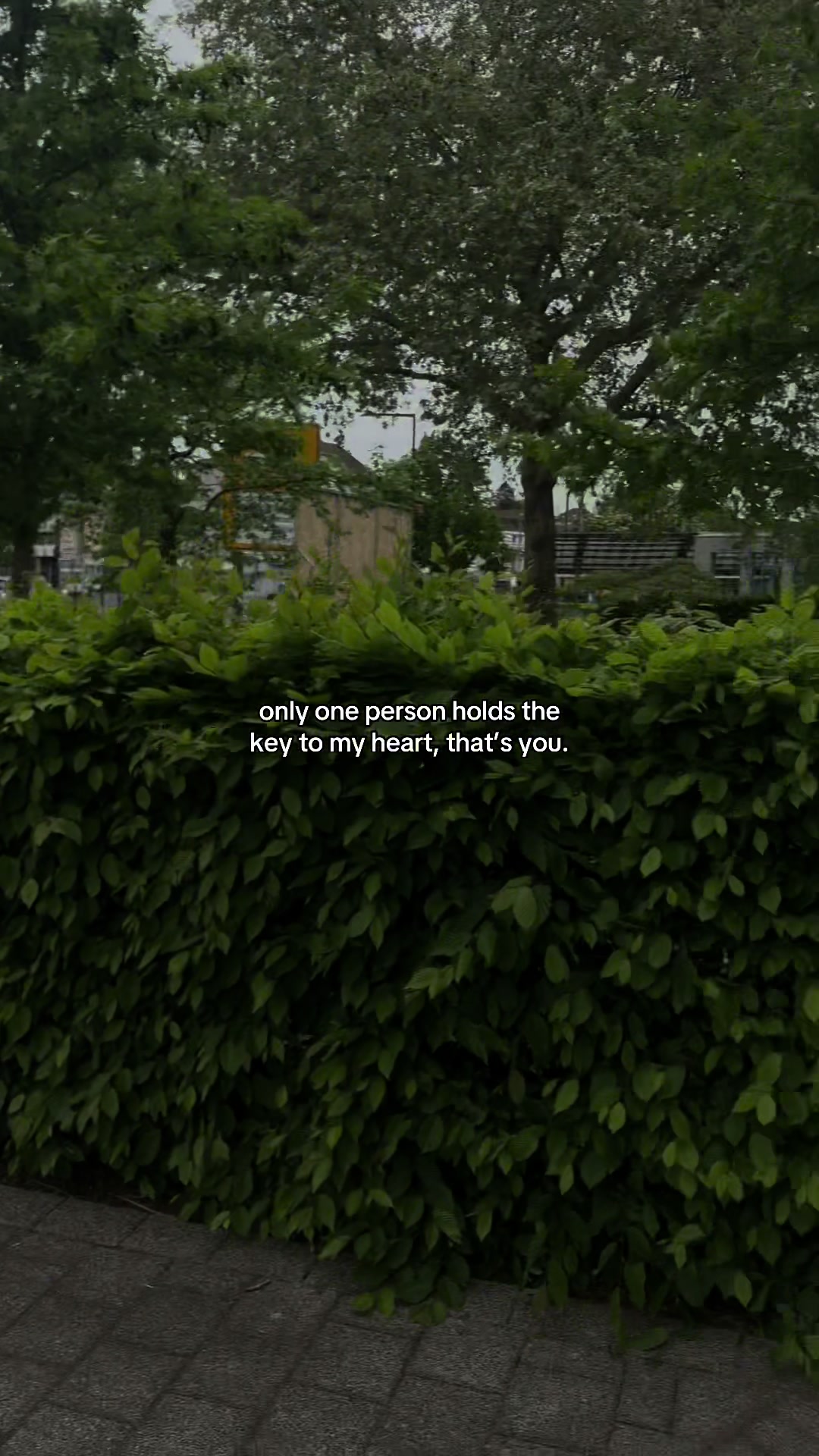 @safeplace