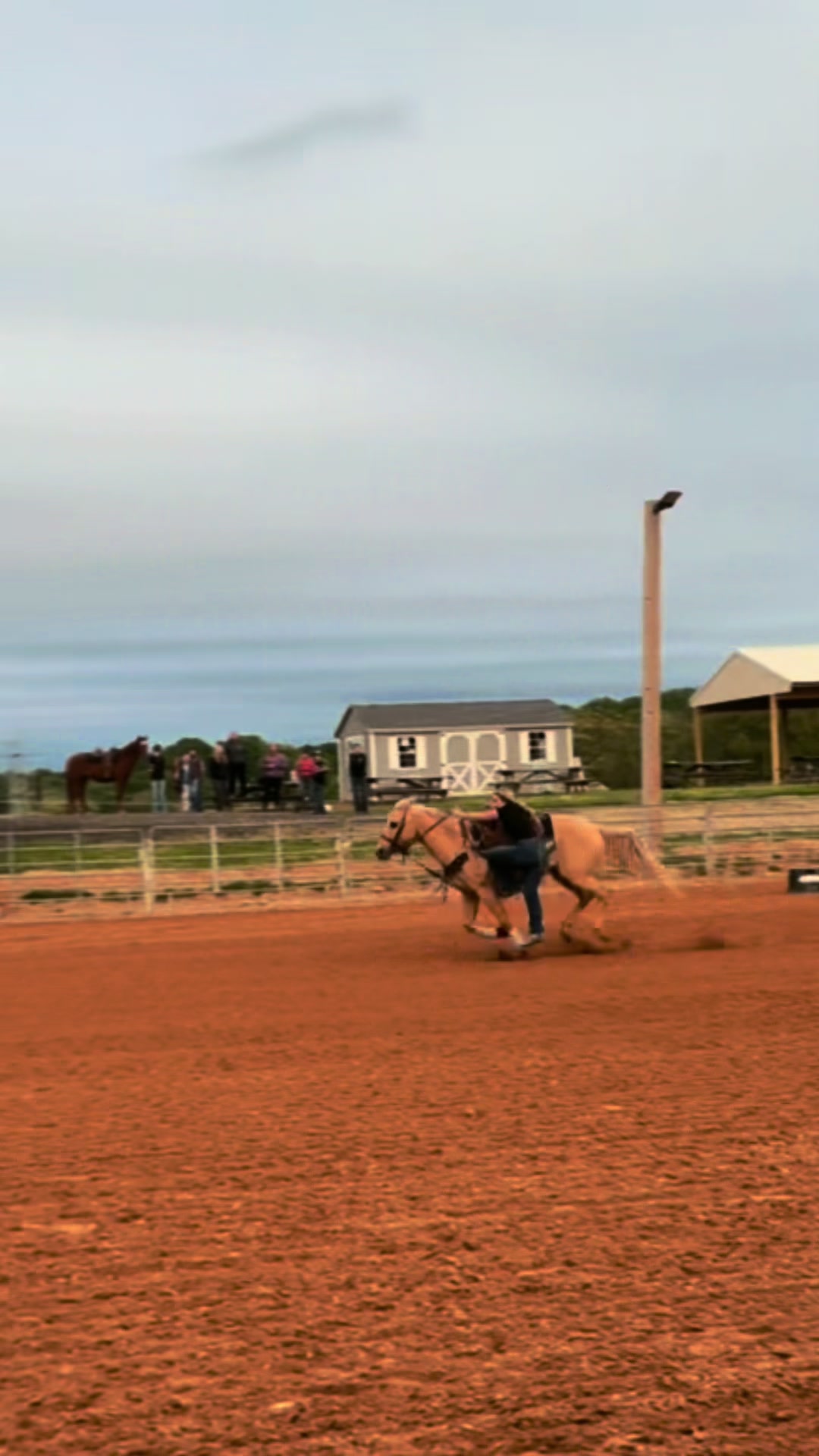 @ℬ𝓇𝑜𝑜𝓀𝑒🐆