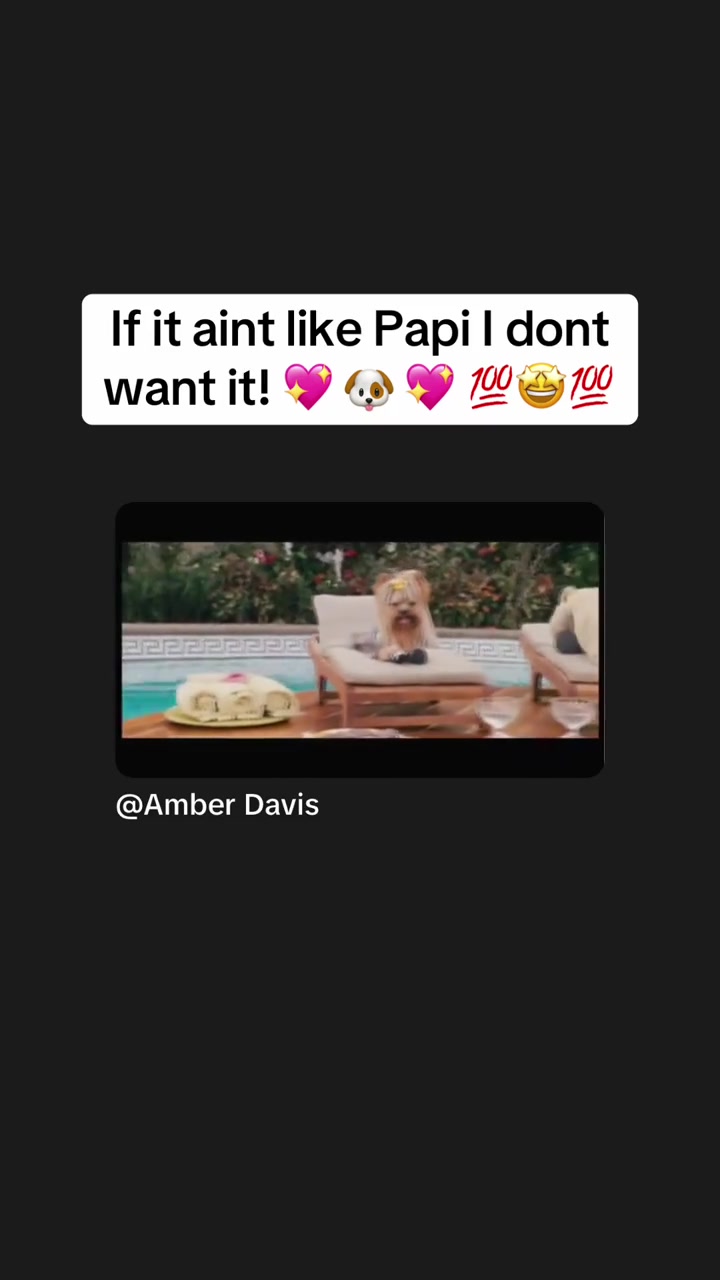 @brie_be_ontiktok