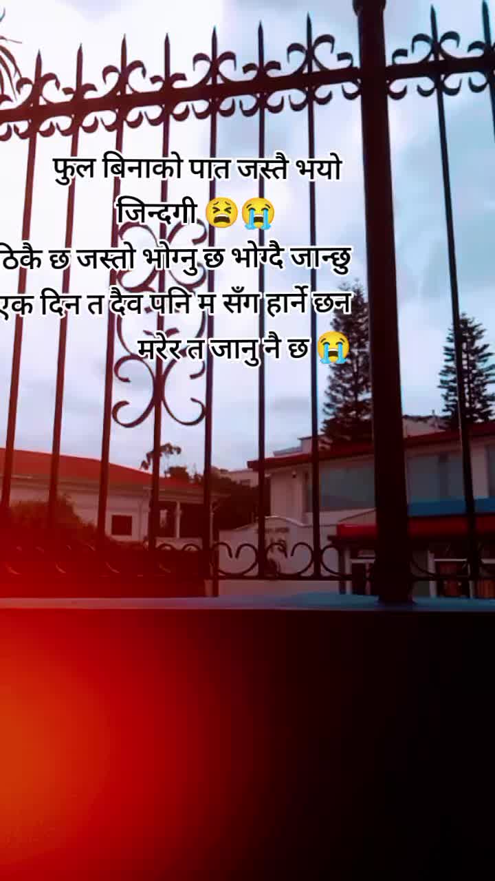 @प्र🌷🌿