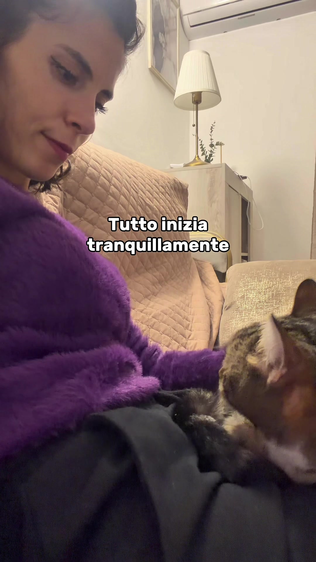 @STELLA_FALCHI