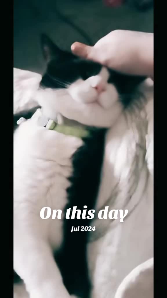 @๐ฆ April'Monique ๐ฆ
