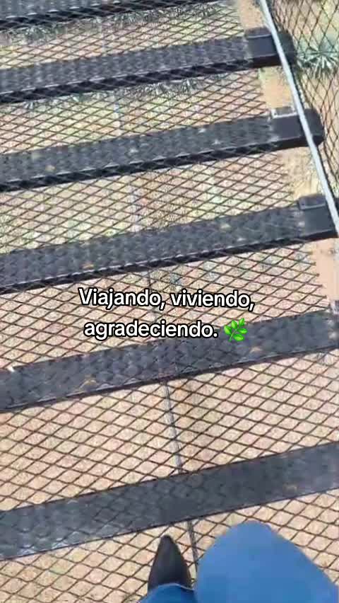 @Geovanna Camargo