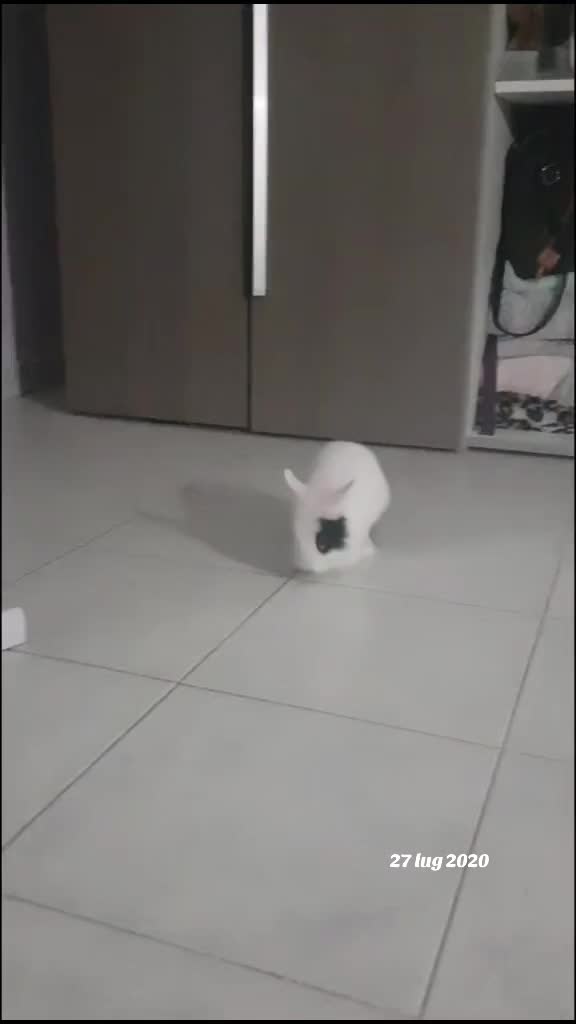 @Tatinaa ♡