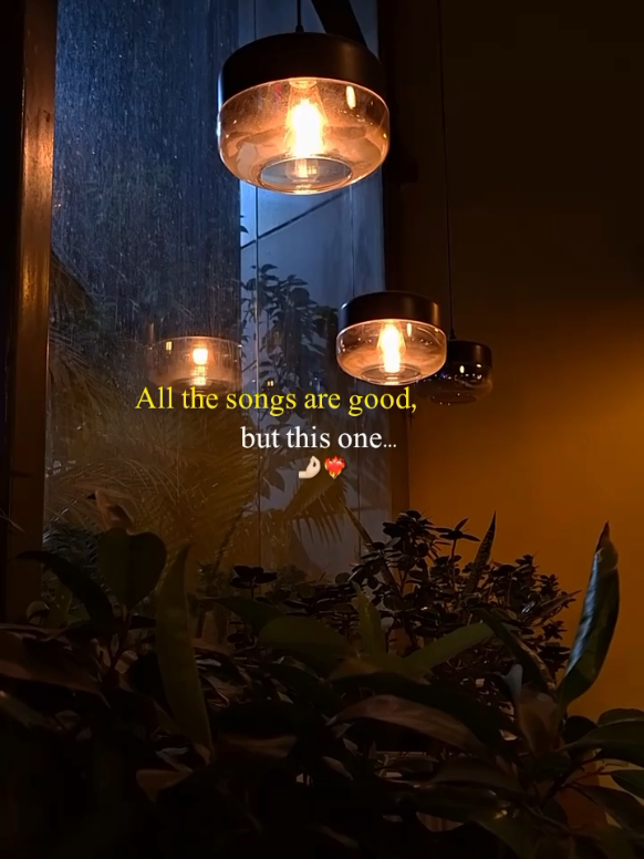 @𝙏 𝘼 𝙔 𝙔 𝘼 𝘽🍁&bull;