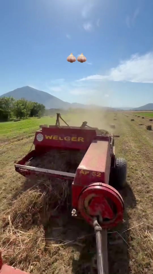 @FIATAGRI 8090 TURBO