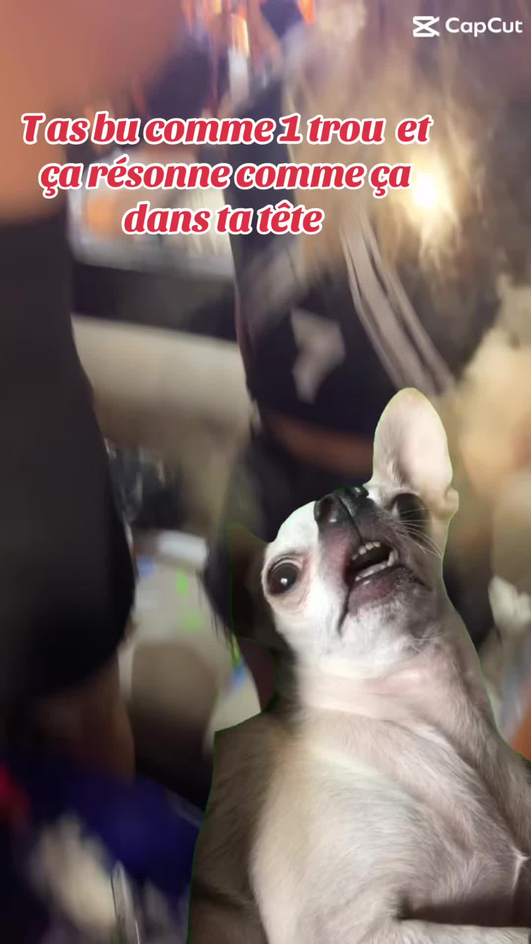 @ESTEauMETRO🧨