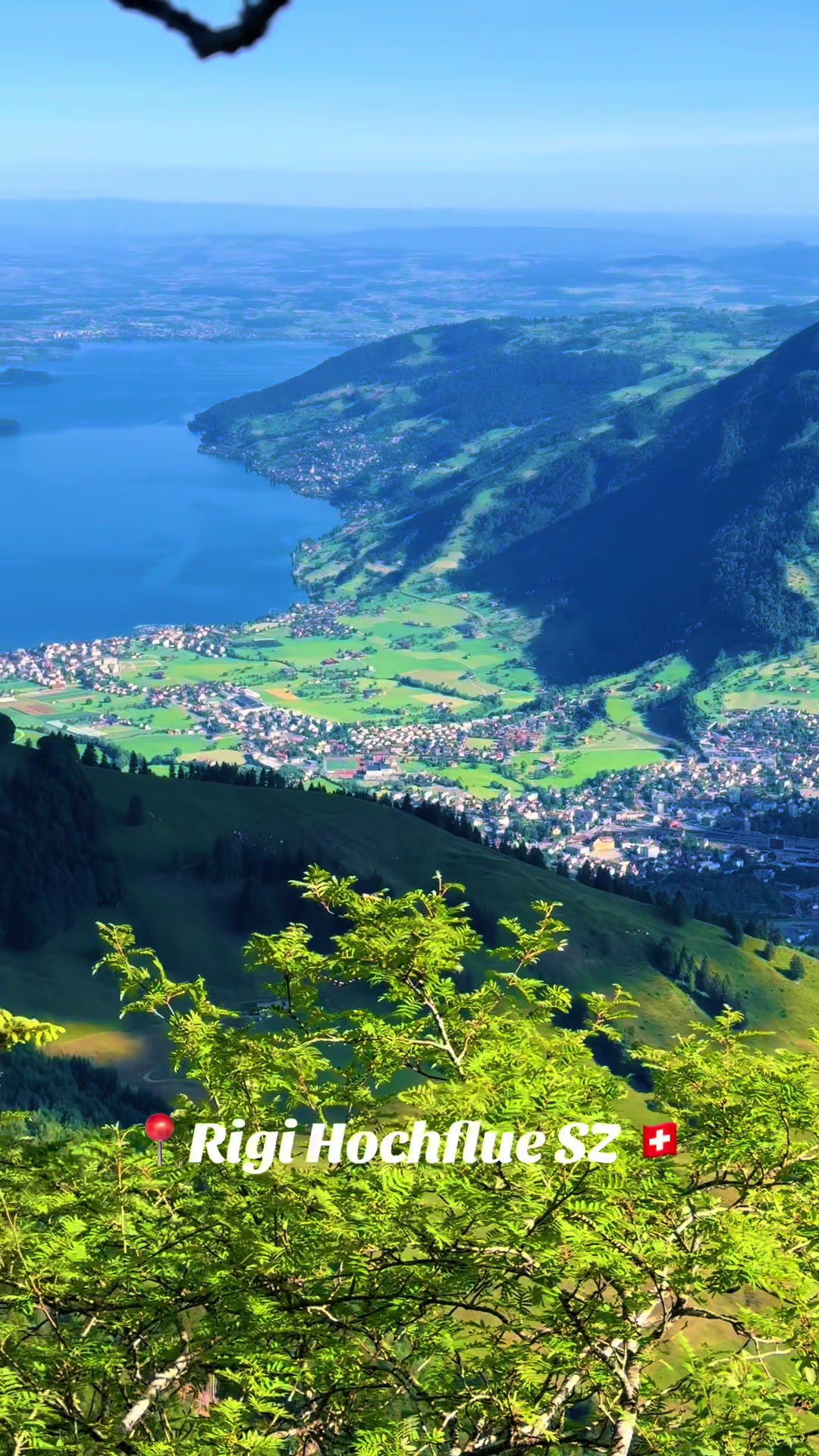 @swiss_alps