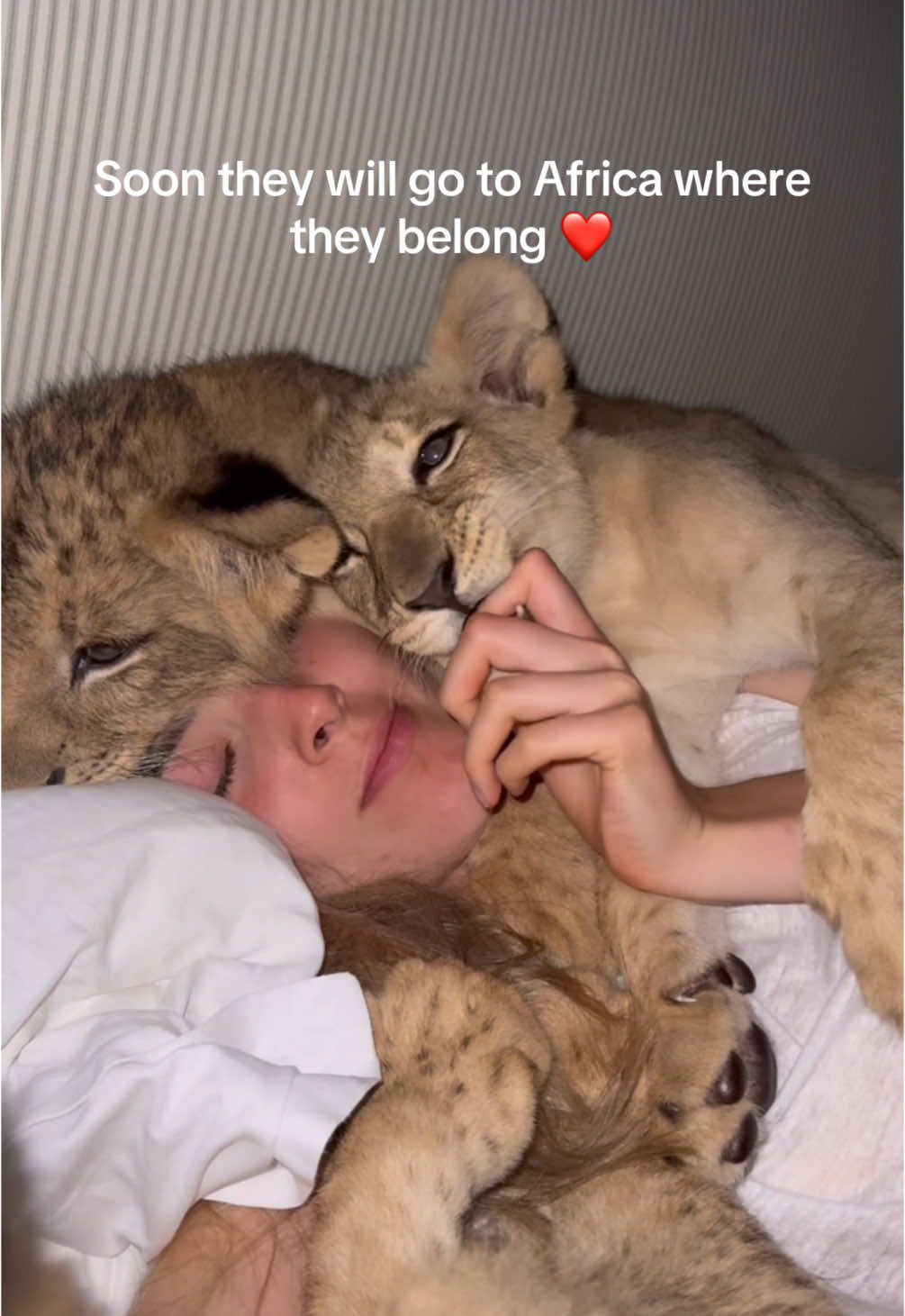 @Freya Aspinall