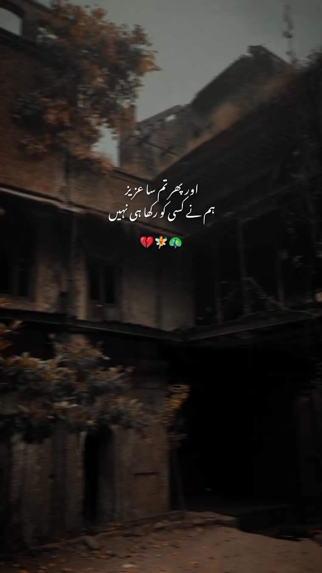 @𝙒𝘼𝙎𝙀𝙈❤️🩹