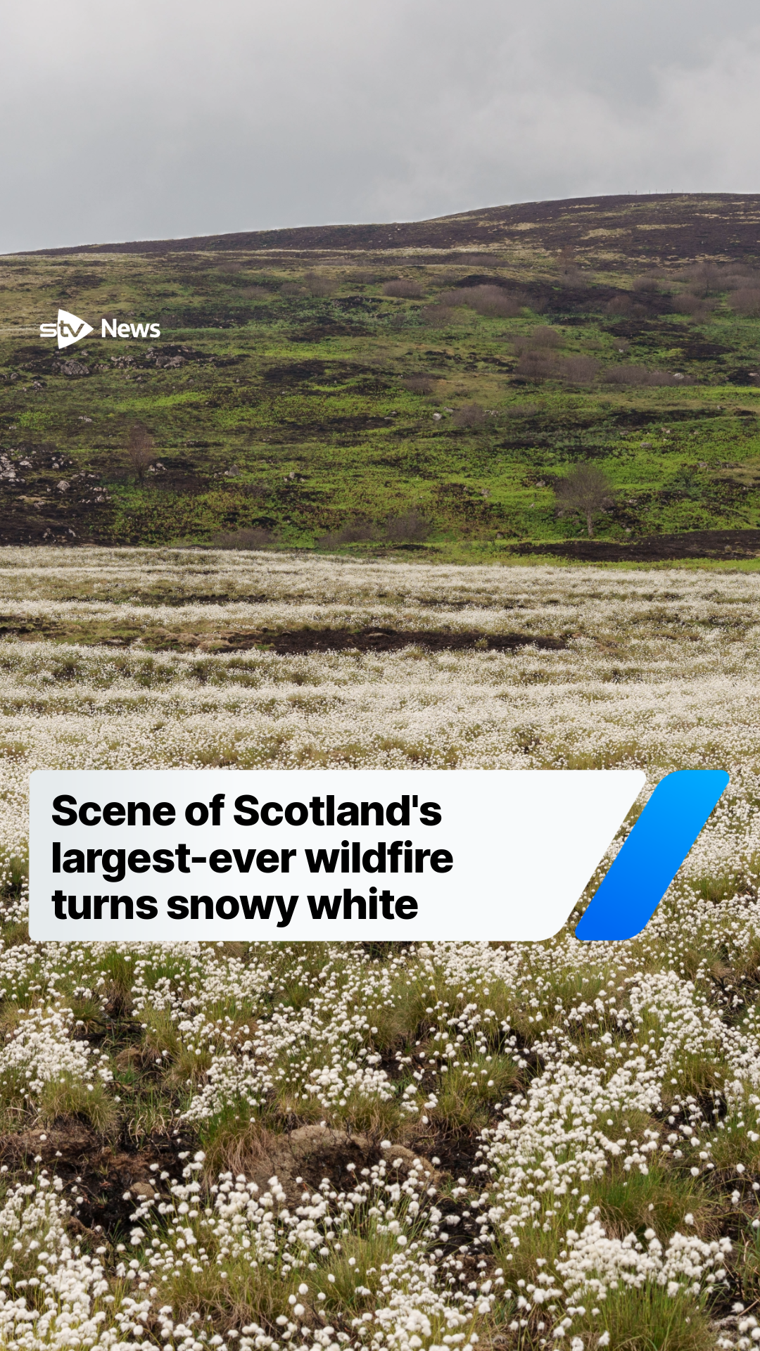 @STV News