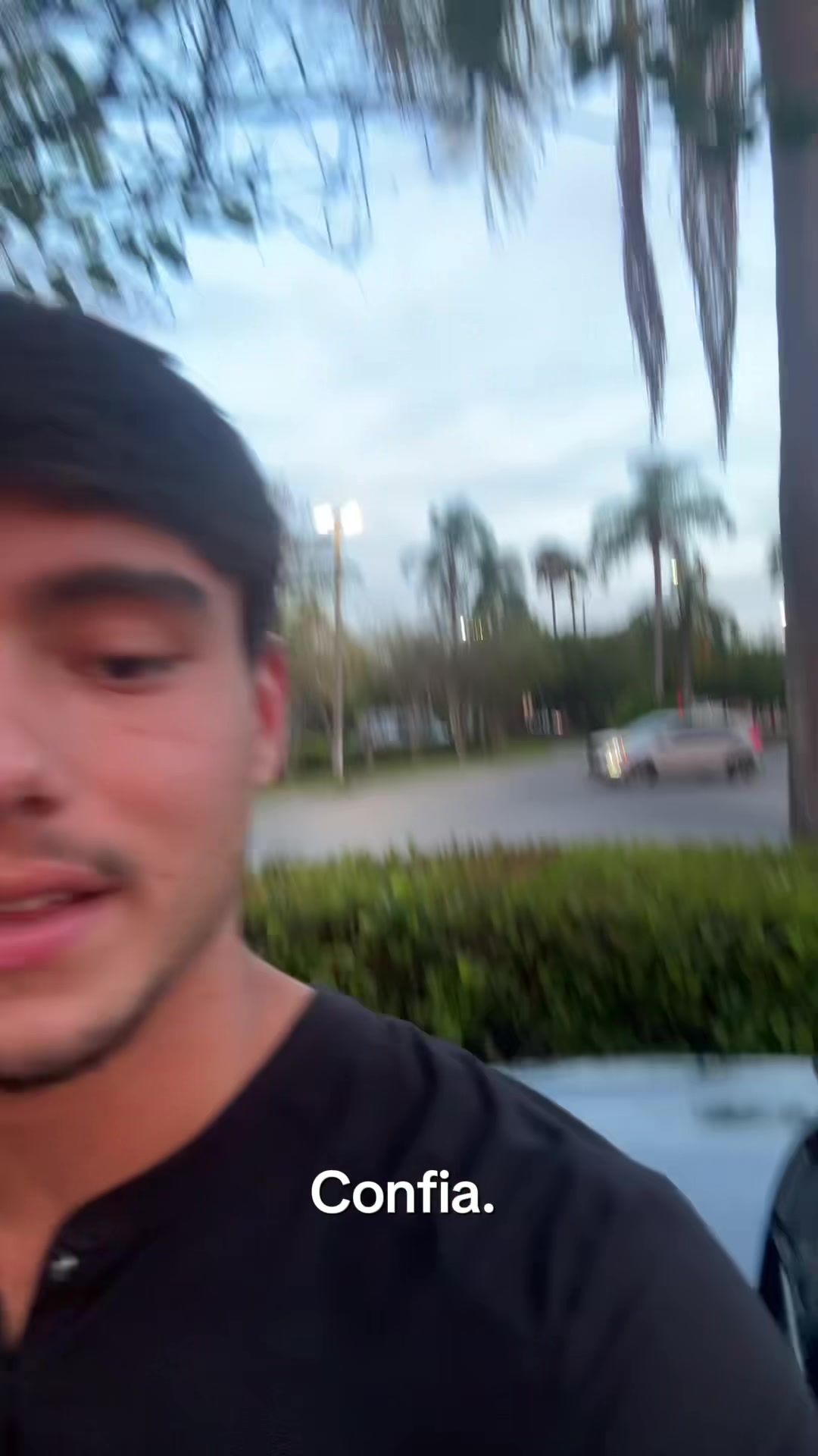 @mendiolaenusa