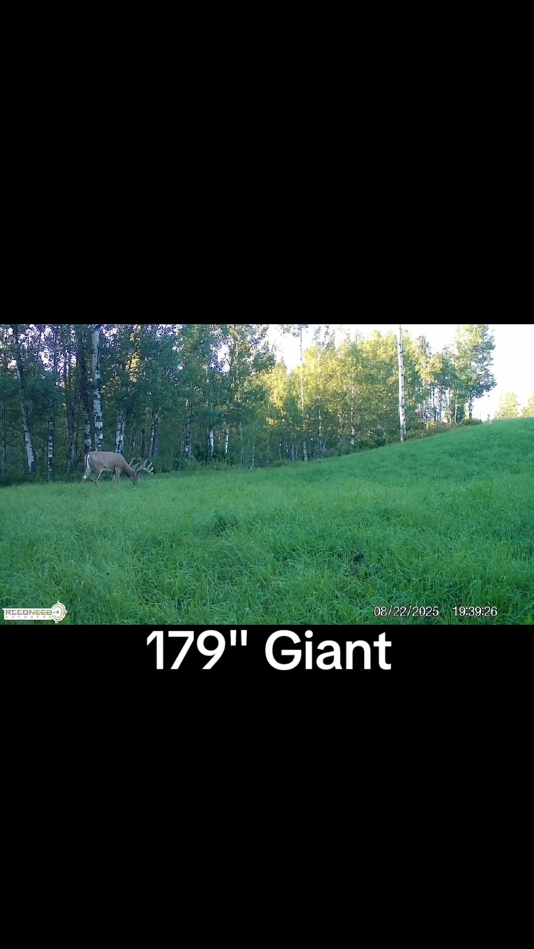 @ddwildhunts