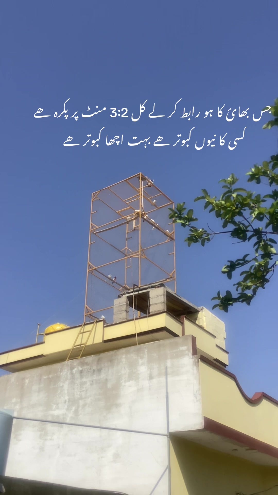 @hassnani68