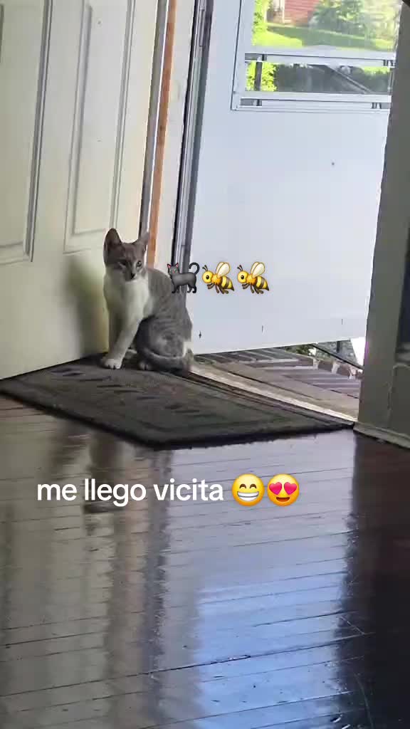 @Nena Orellana Romero