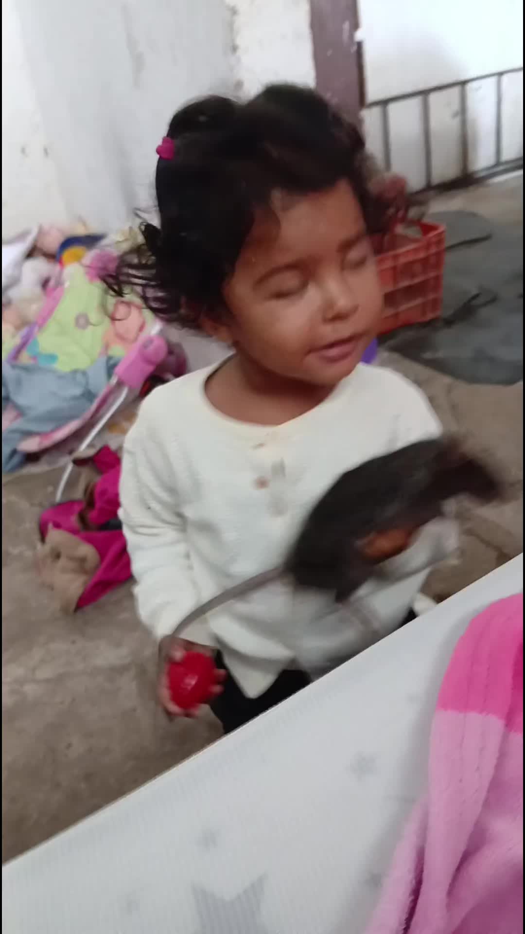 @Evelin Ruiz