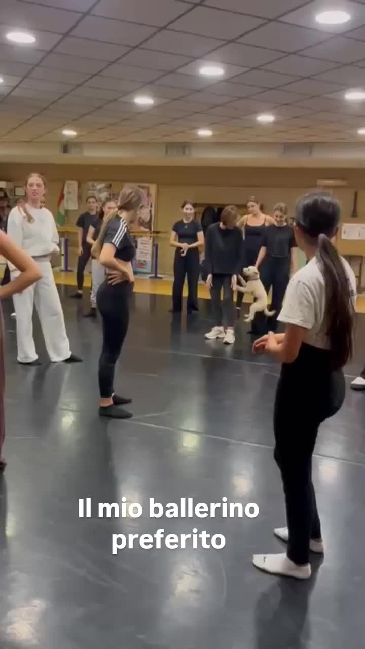 @ladanza.info