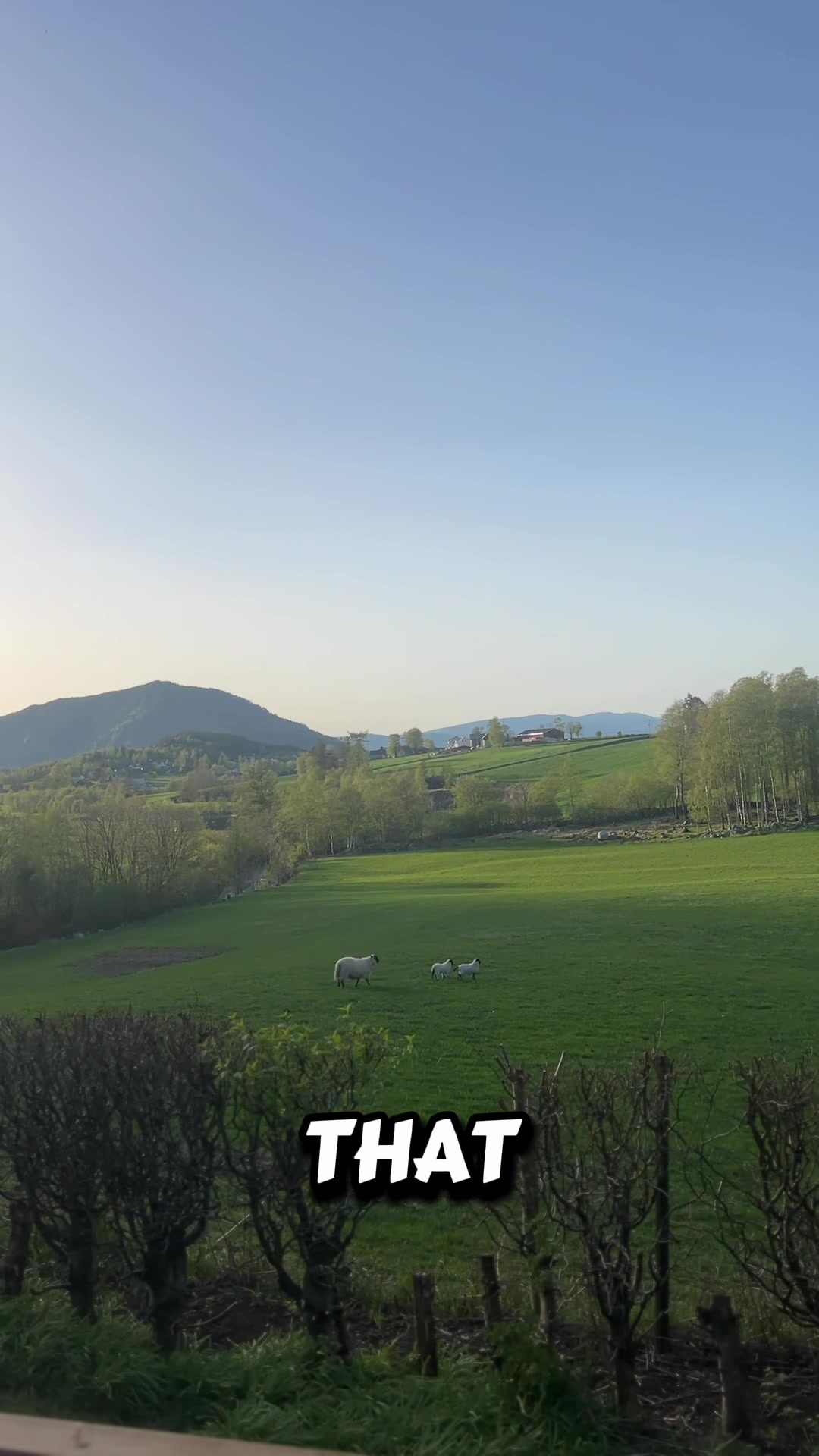 @Ørjan Hjelmeland Øvstebø