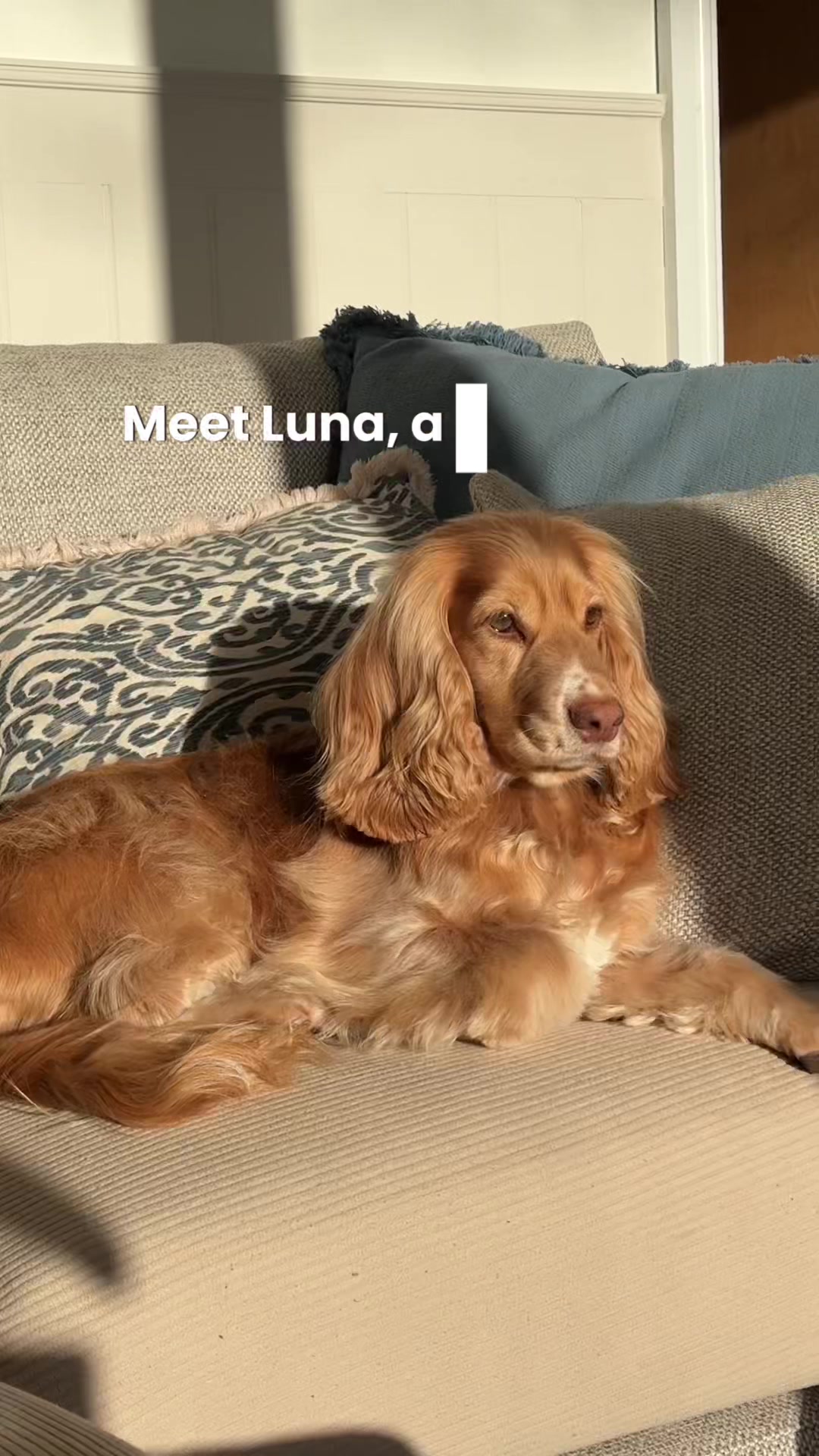 @lifelunaandlandscapes