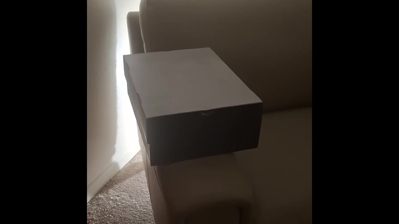 @mcflysneaksneats