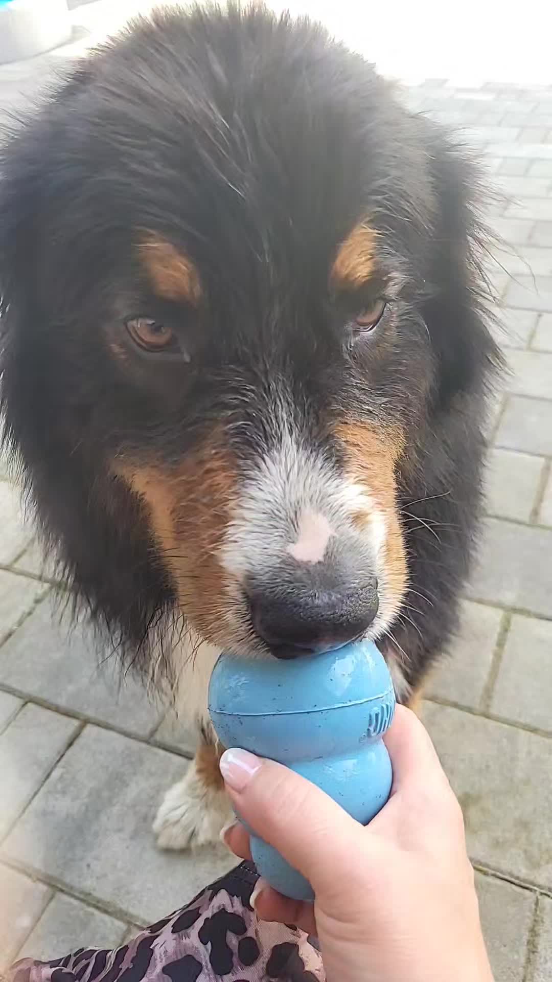 @berner.bruno