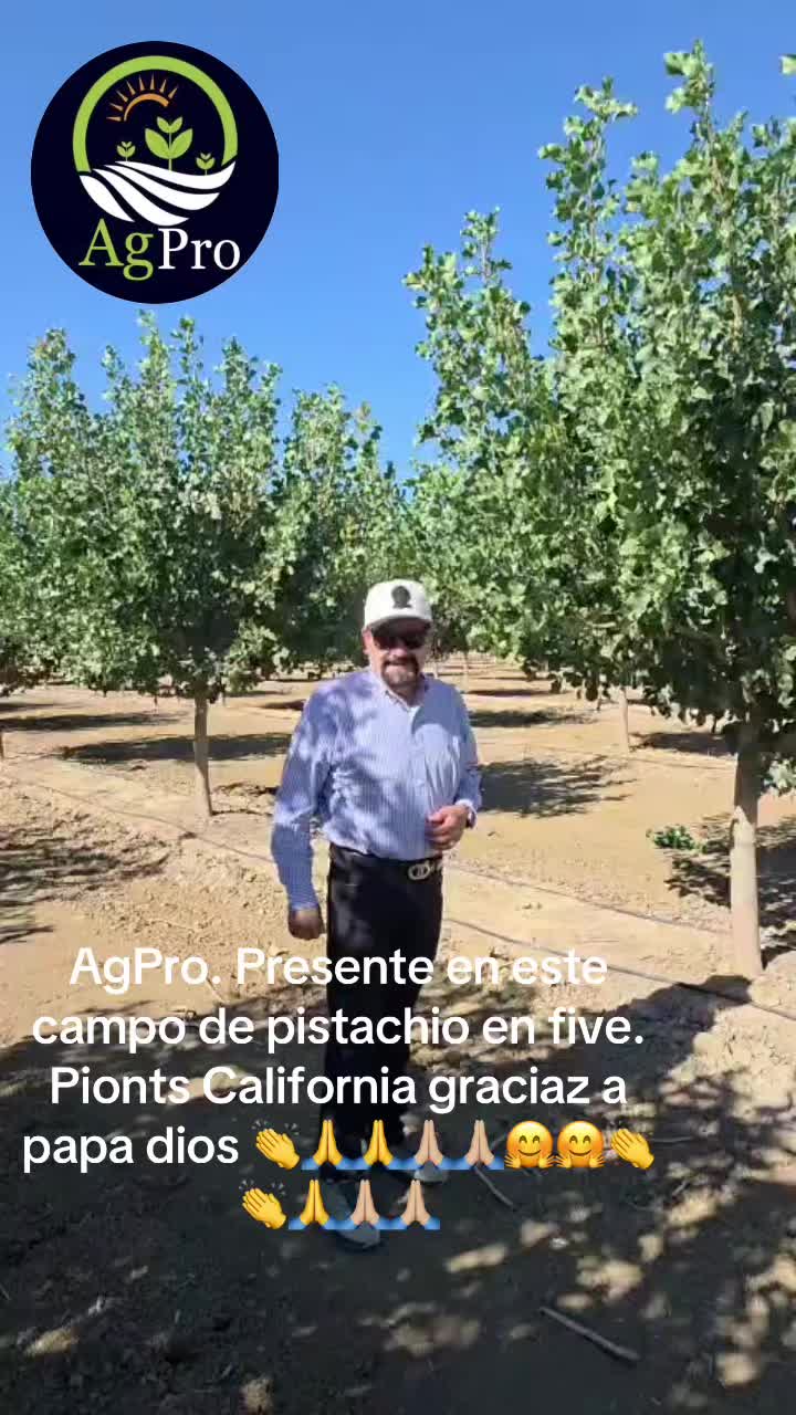 @Piedad Ayala