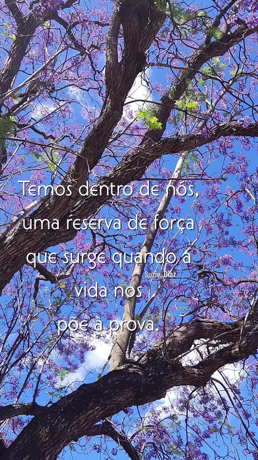 @🌺Suzie Diaz🌺