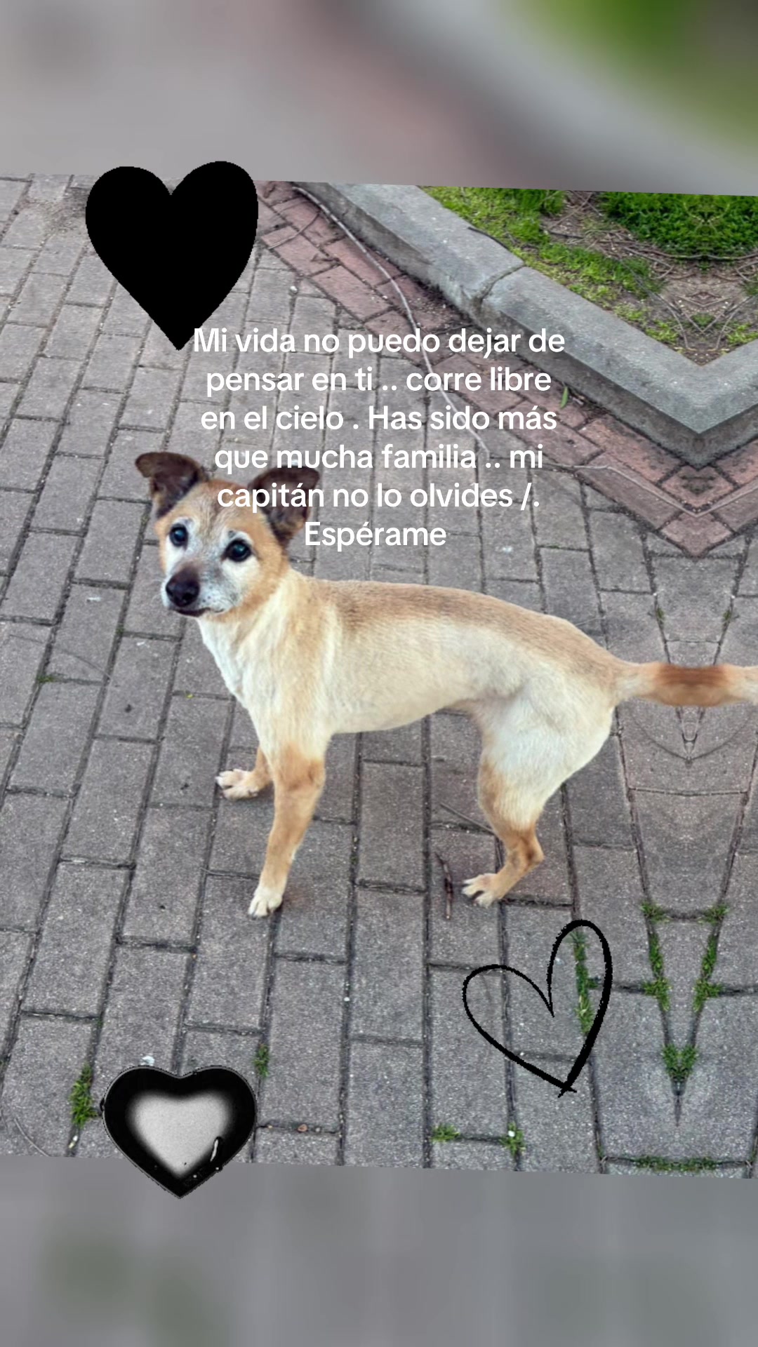 @Santisp