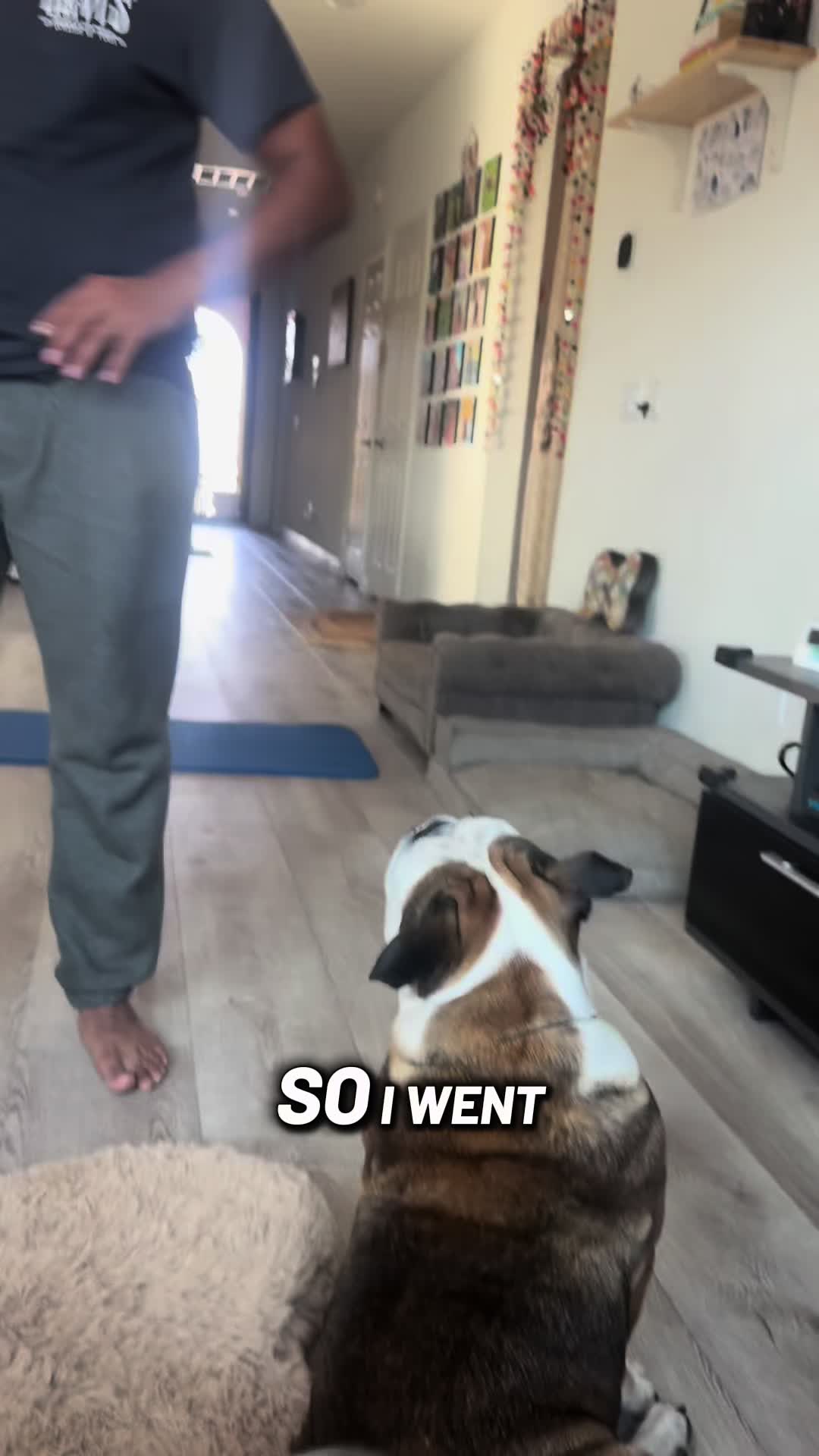 @Taco 🐶🧿