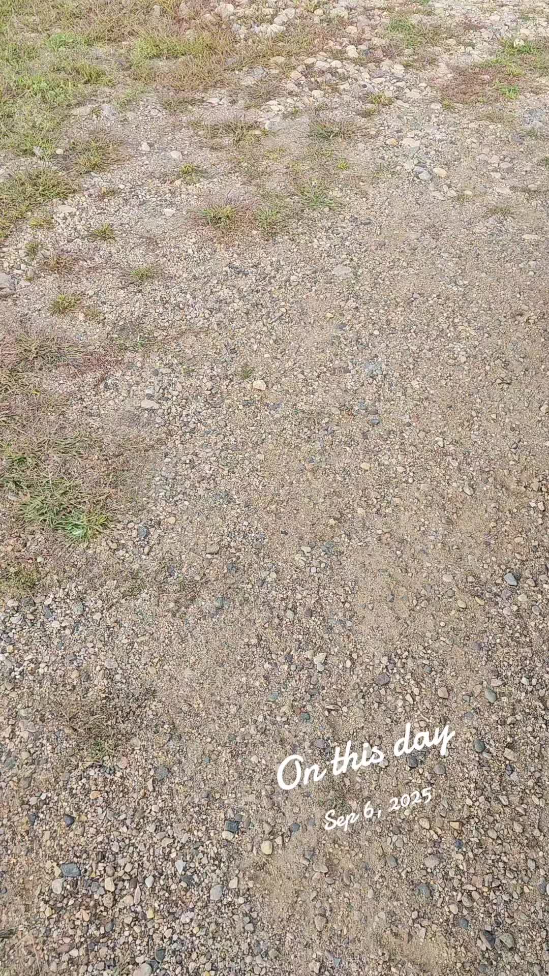 @IDnative ❌️