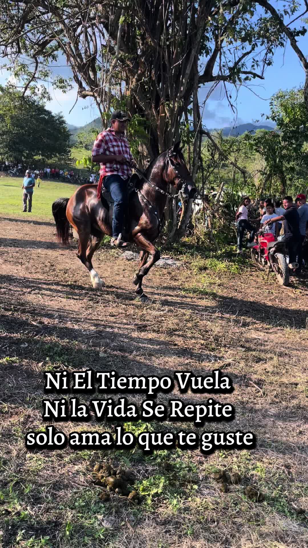 @Angeles Alvarado 504