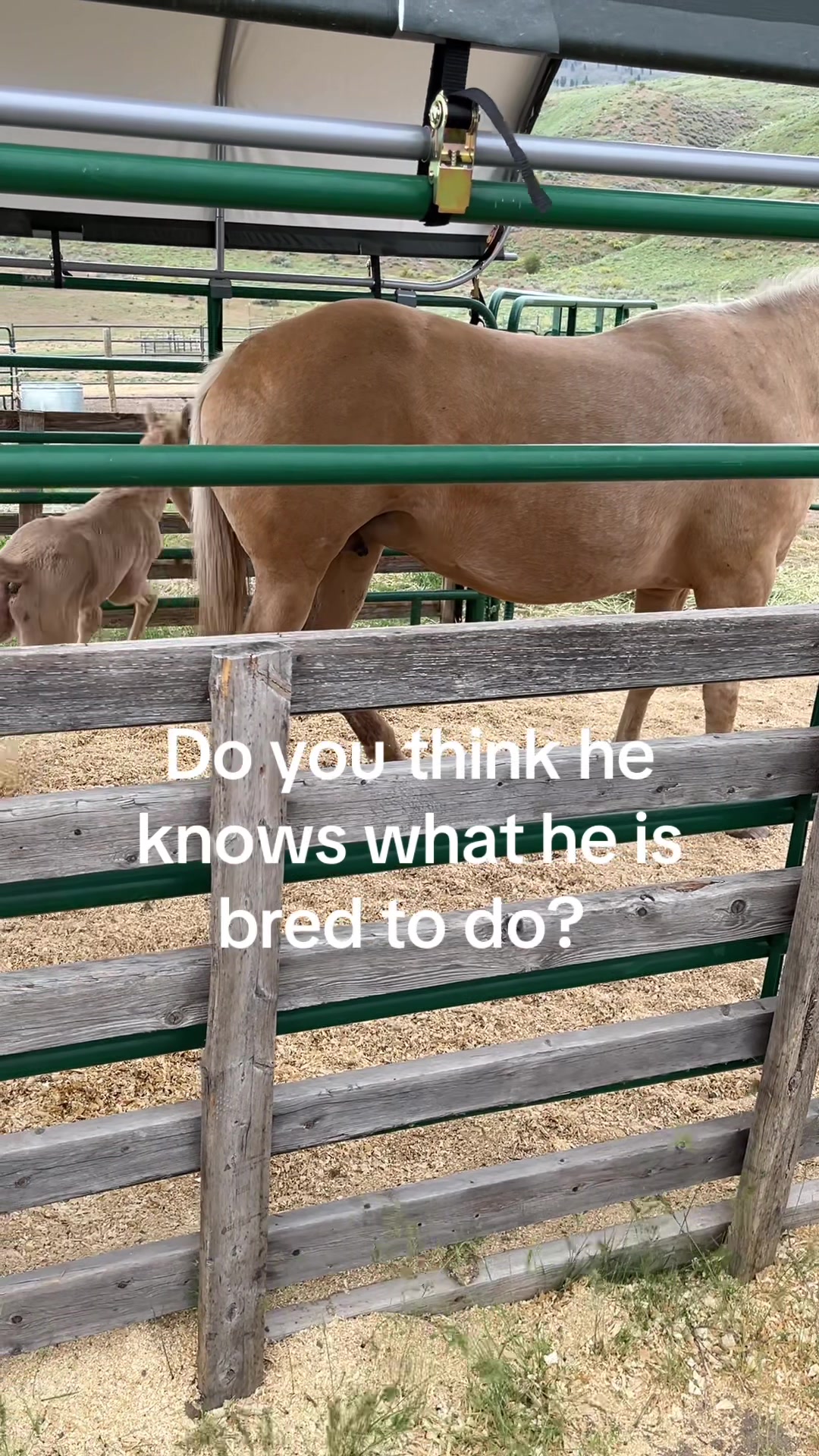 @Heidi