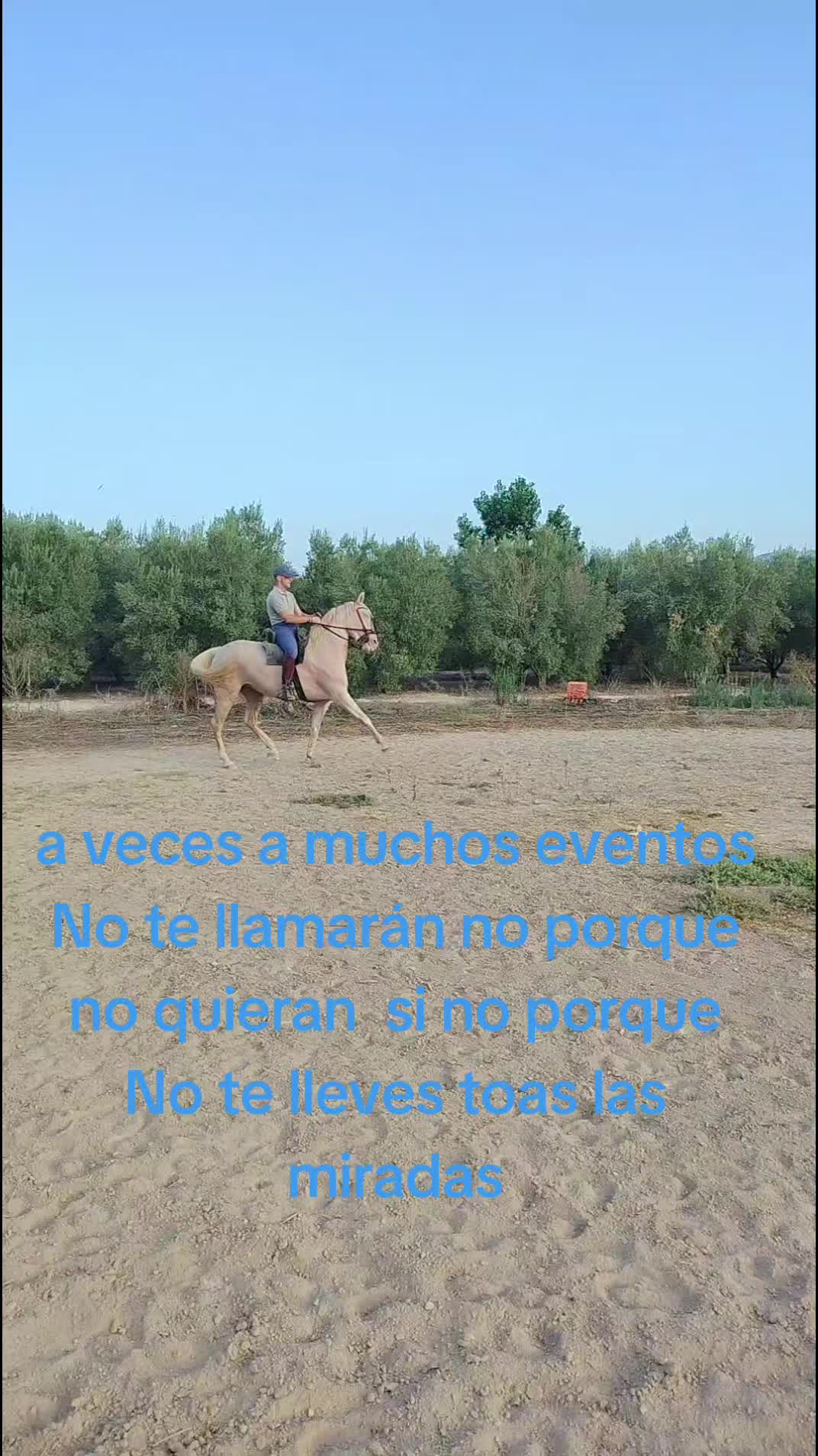 @dgz_65