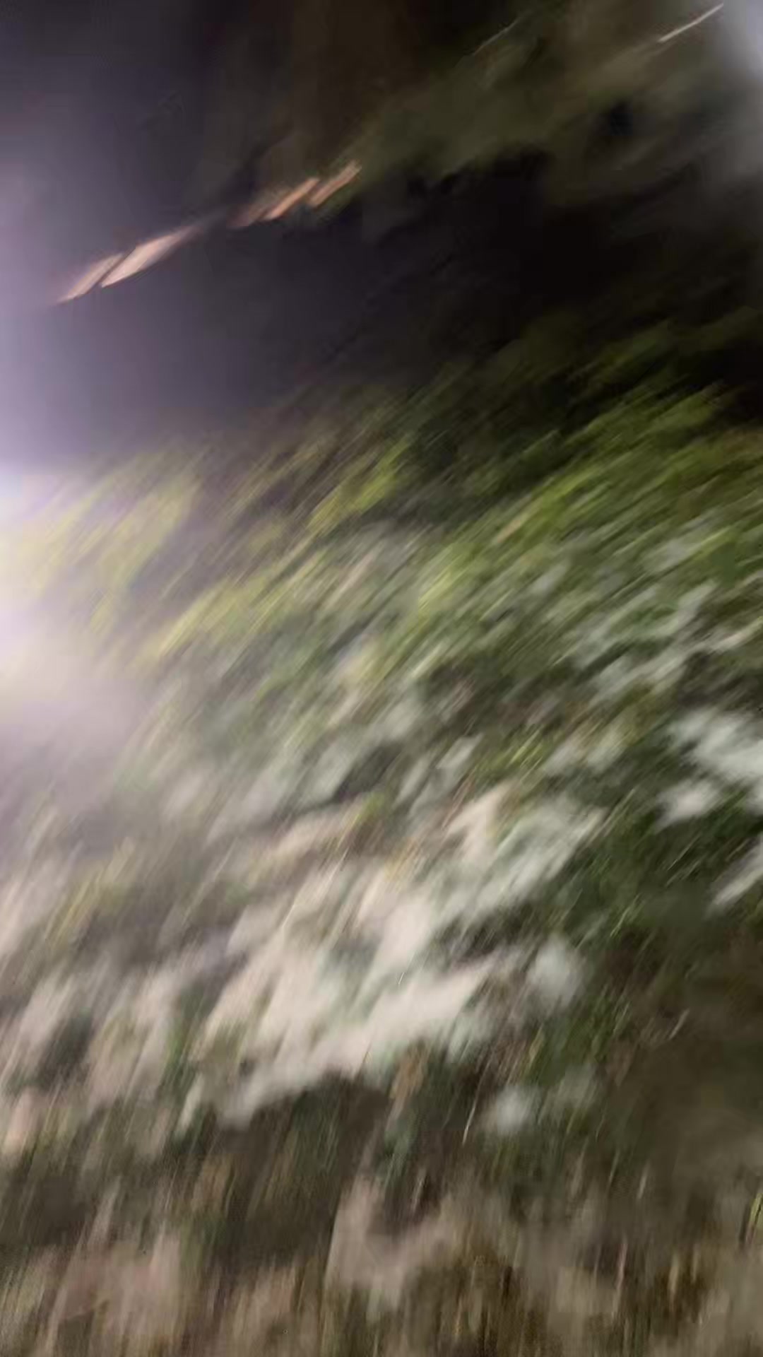@hzzz.diiii