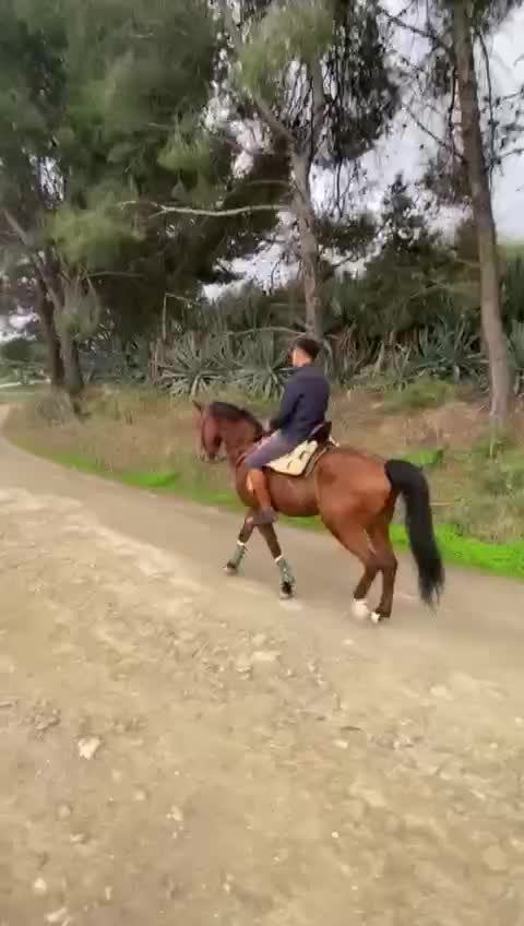 @antoncampos23