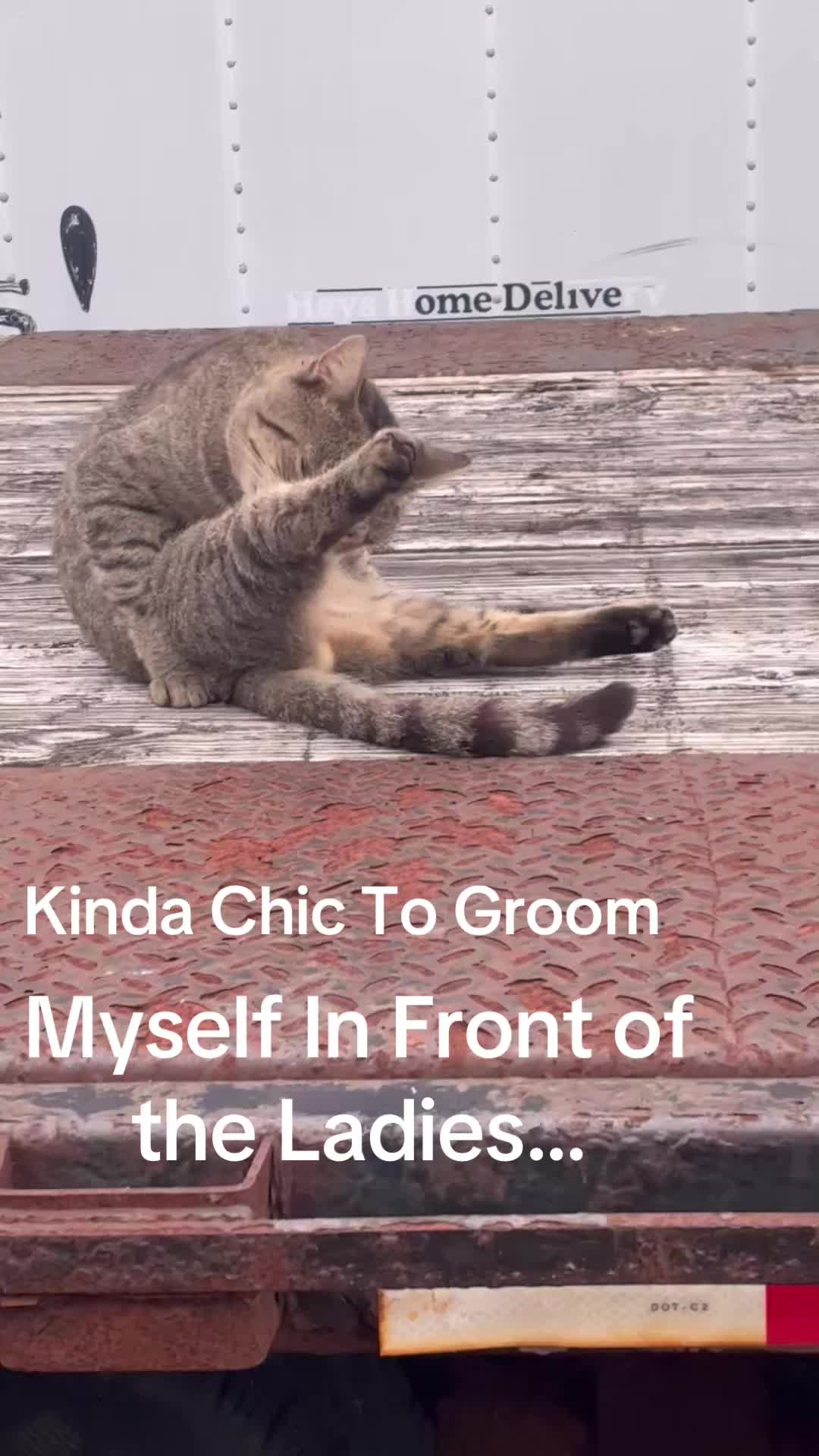 @OldLady/StillTNRing