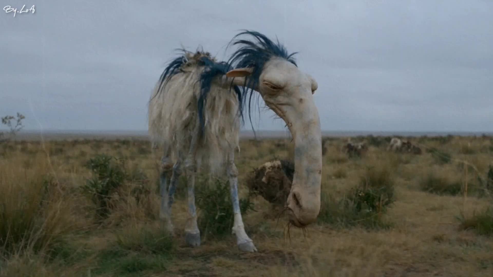 @LoA