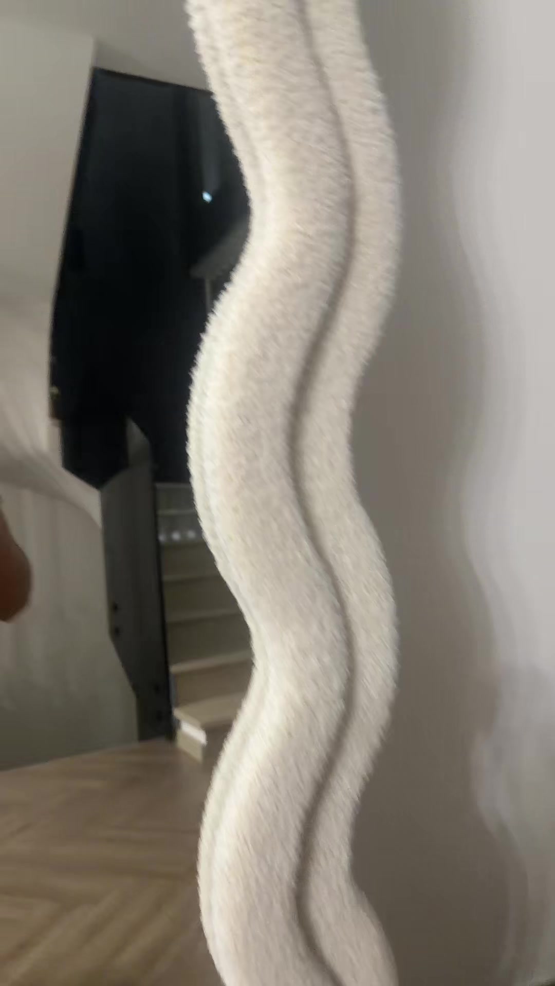 @Francesca Leone