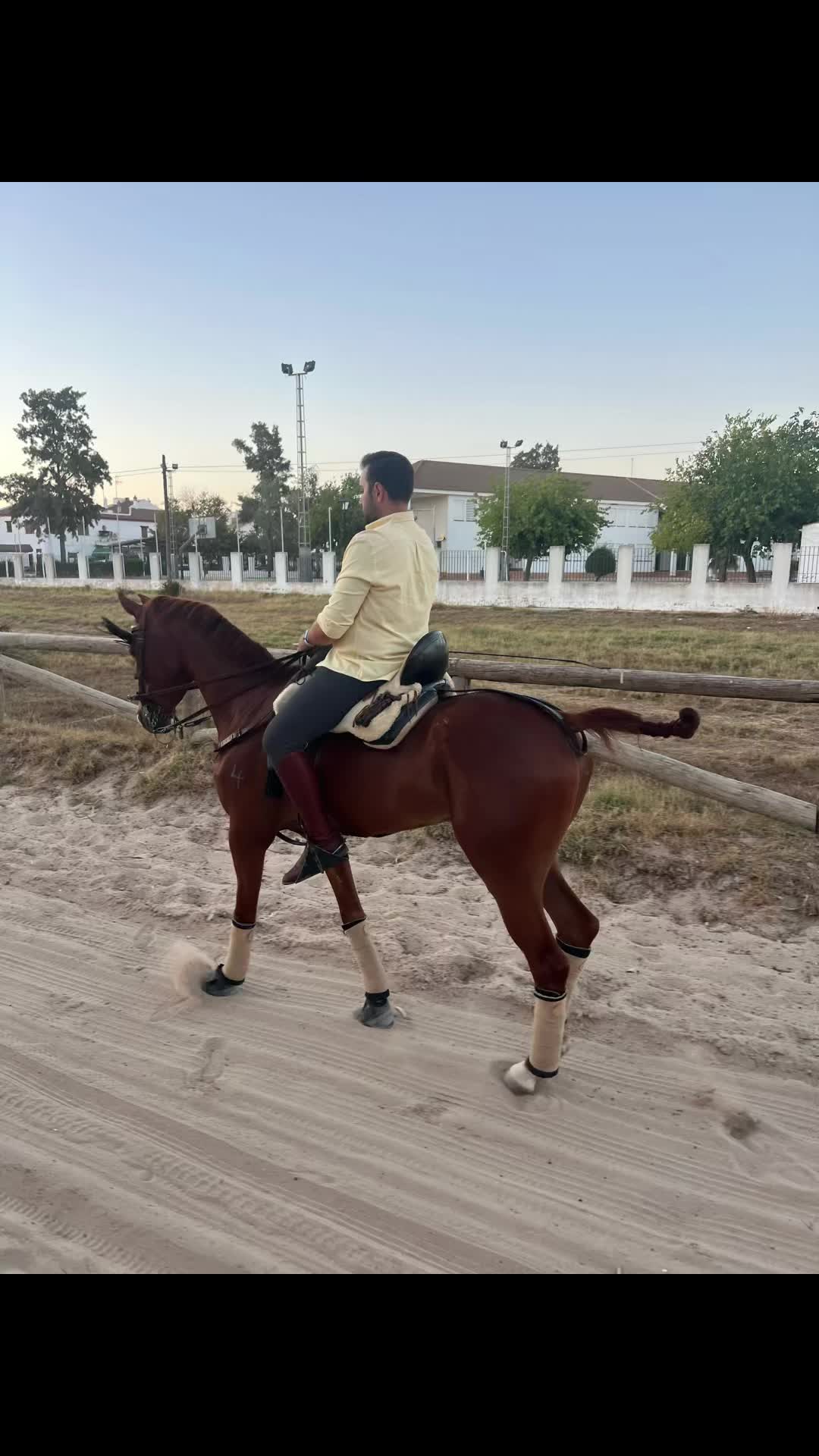 @Pepe Serrato