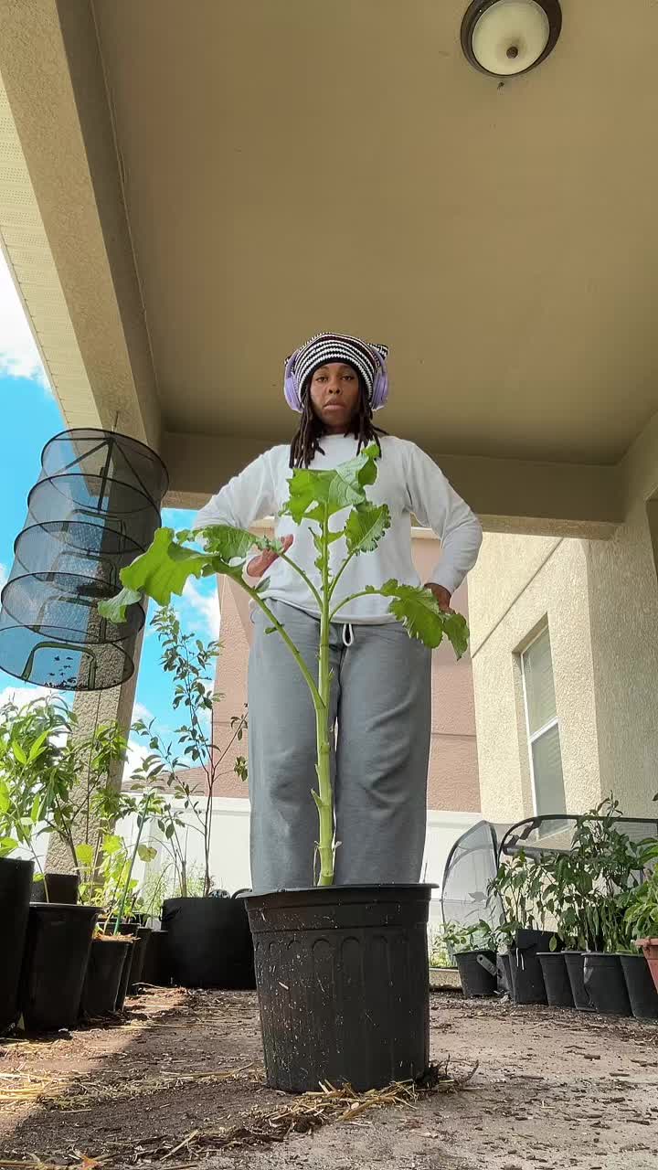 @🧶🧜🏾&zwj;♀️ItzJustChele👩🏽&zwj;🌾🐰