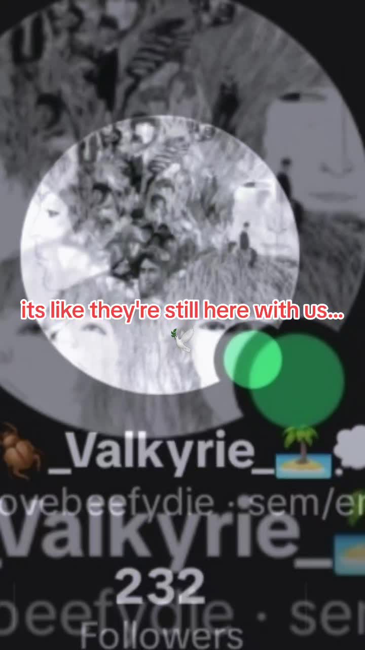 @โโฆโฑ๐ธ๐ชฒ_=Valkyrie=_๐ฌ๐ง๐โฐโฆโ