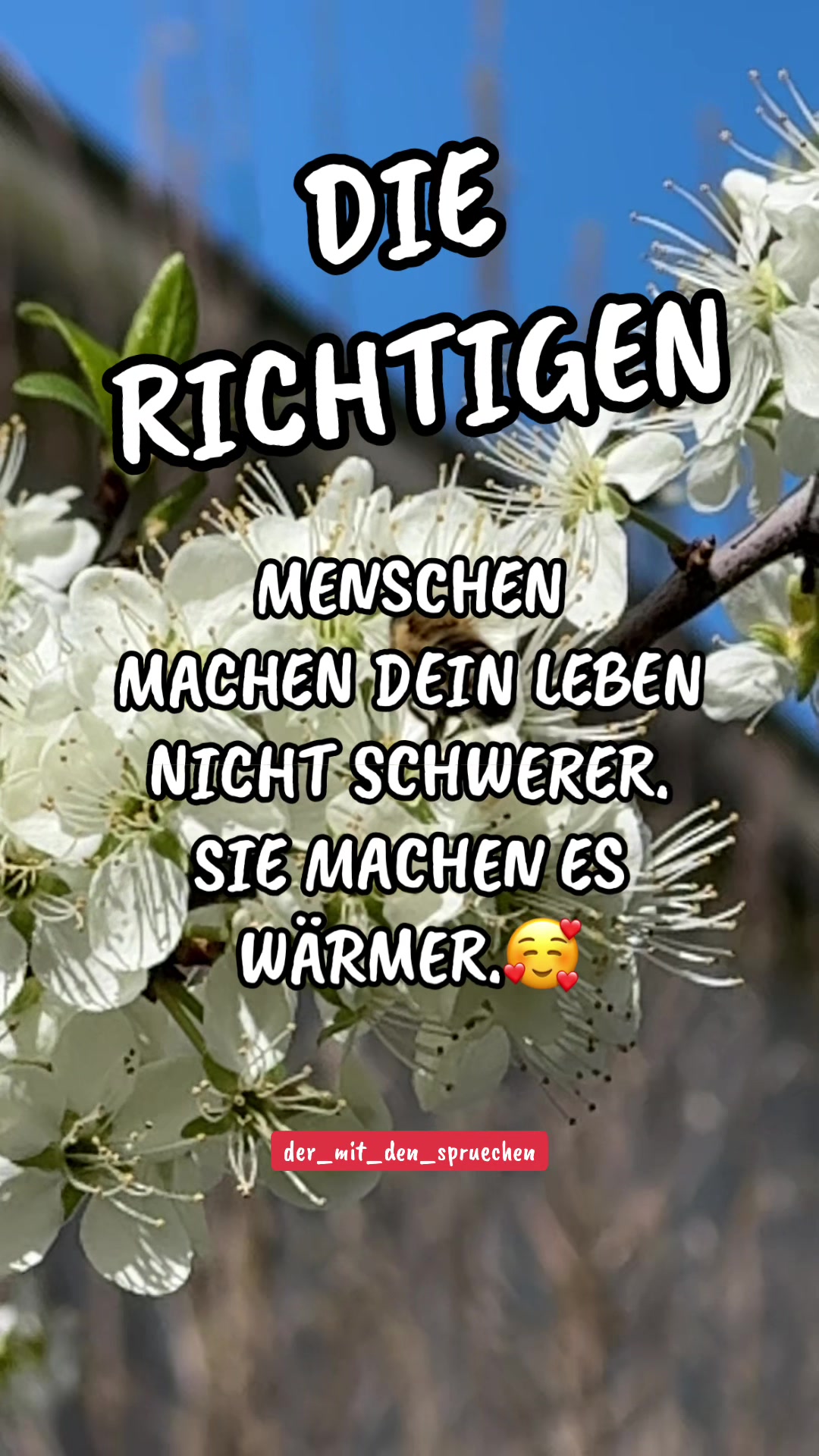 @der_mit_den_spruechen