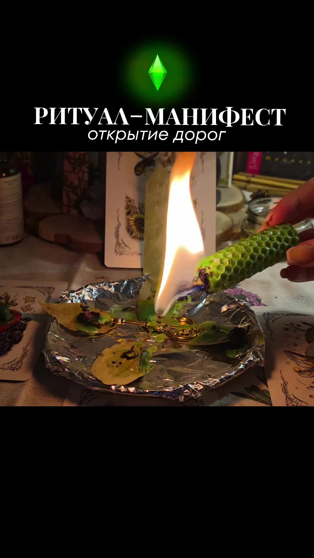 @aliceeback ~ магия жизни
